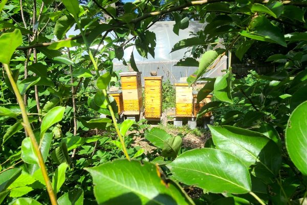 298599412_3248332105421866_8064706524203874581_n