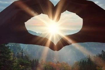 421256596_3593228920929018_8754858429210199223_n