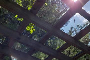 421604720_3594947664090477_2827638532188246305_n